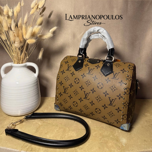 Louis Vuitton speedy trunk