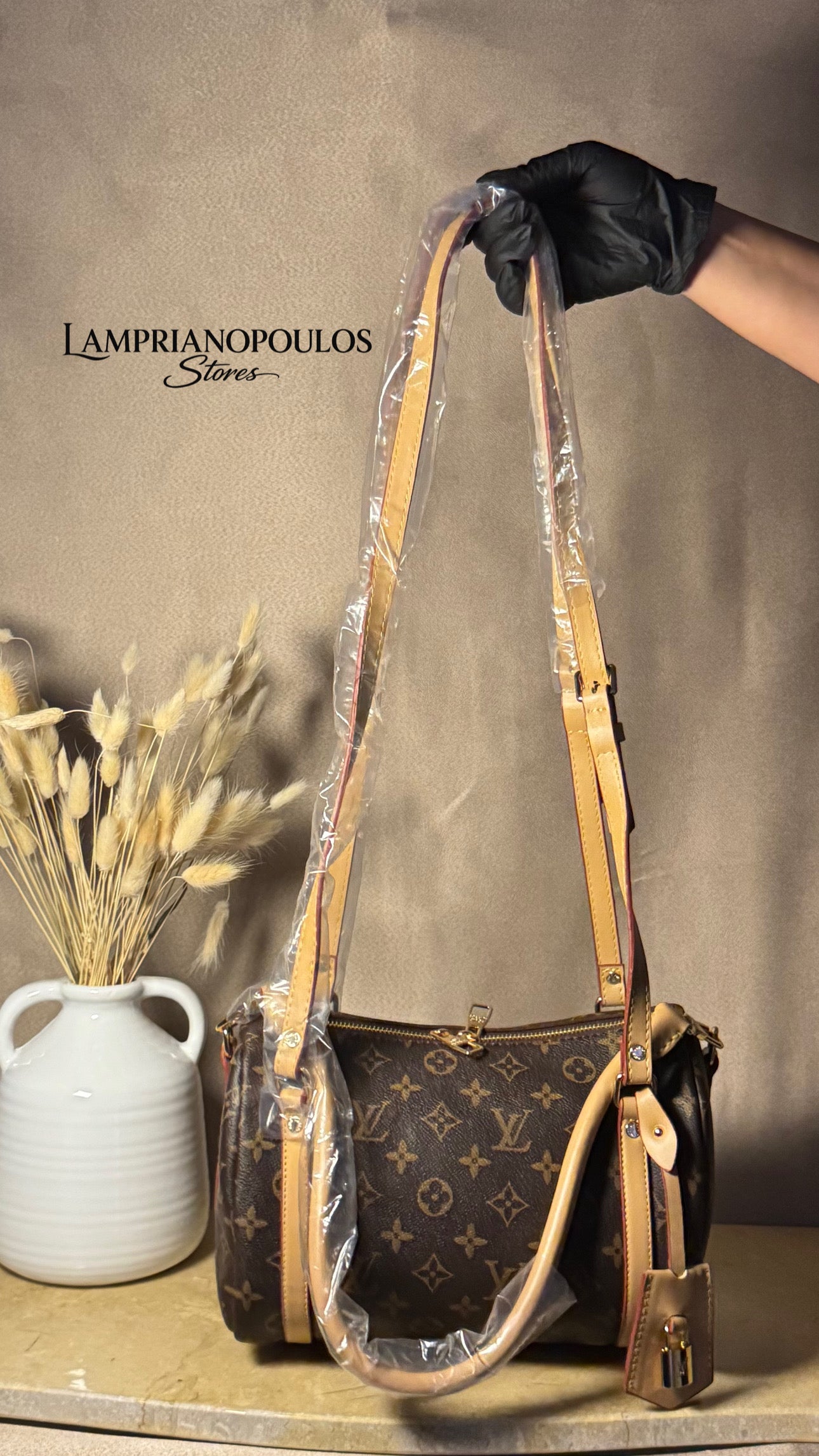 LOUIS VUITTON EXPRESS PM