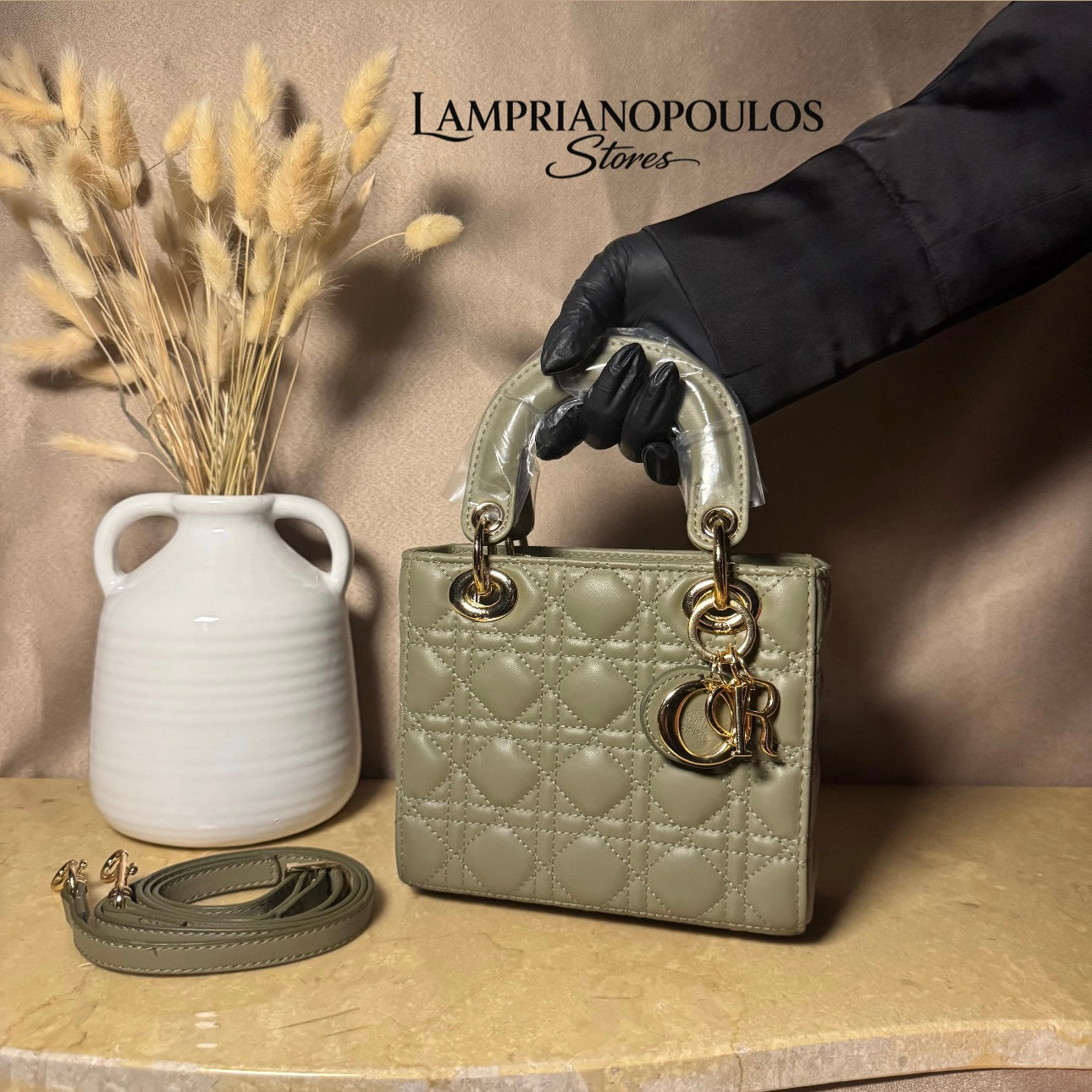 Dior  lady